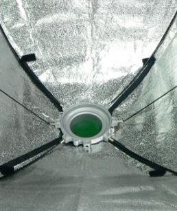 Falcon Eyes Softbox 80x120 cm + Honeycomb Grid SBQ-80120HC - Image 2