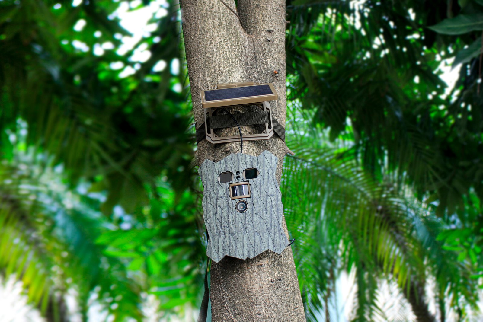 Stealth Gear Owl Solar 4K Wifi Wildcamera - Image 2