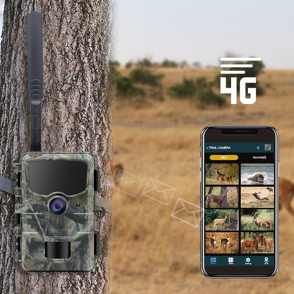 Stealth Gear Hedgehog 1080p 4G Wildcamera - Image 4
