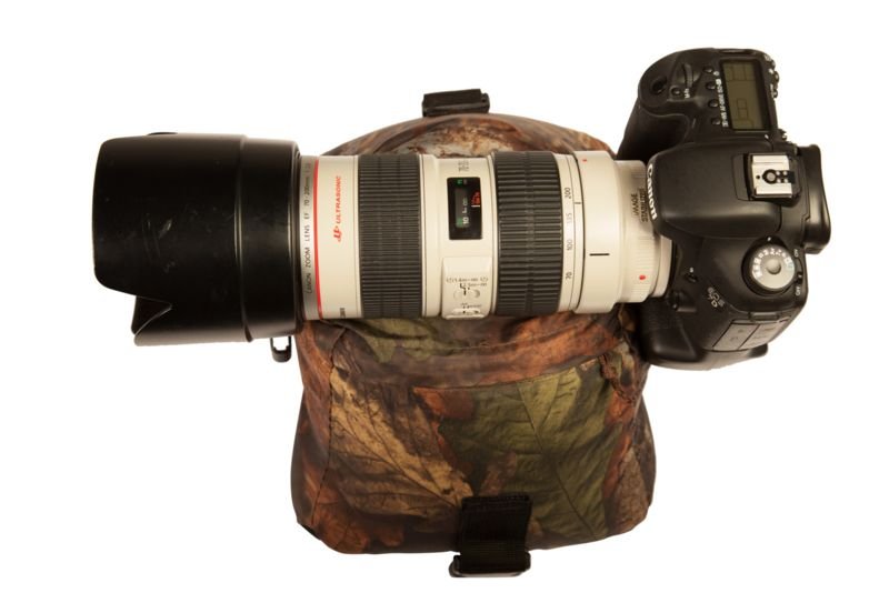 Buteo Photo Gear Bean Bag 1 Saddle and Belt - Image 2