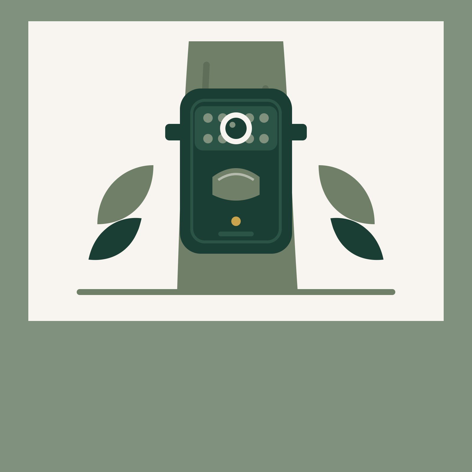 Wildlife Cameras